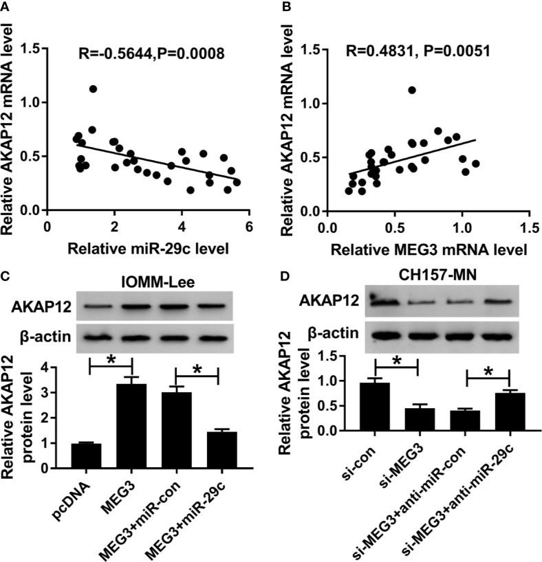 https://cdn.ncbi.nlm.nih.gov/pmc/blobs/2625/7672212/220073d94e84/fonc-10-537763-g006.jpg