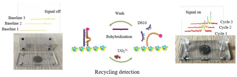 https://cdn.ncbi.nlm.nih.gov/pmc/blobs/2628/10143460/df94849e1e1b/sensors-23-04125-g003.jpg