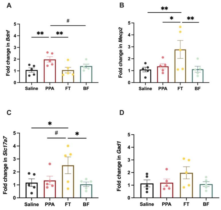 https://cdn.ncbi.nlm.nih.gov/pmc/blobs/262a/8391663/55ce4cae79e8/brainsci-11-01038-g005.jpg