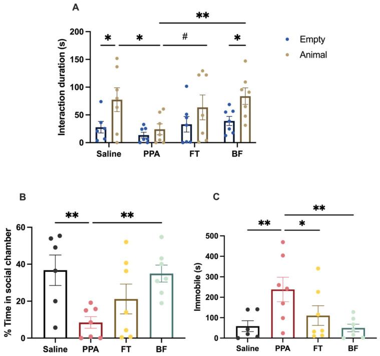 https://cdn.ncbi.nlm.nih.gov/pmc/blobs/262a/8391663/a3d9d531f53e/brainsci-11-01038-g002.jpg