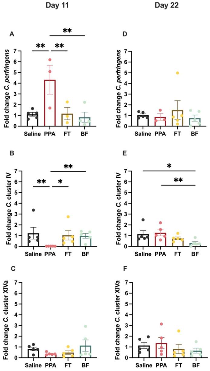 https://cdn.ncbi.nlm.nih.gov/pmc/blobs/262a/8391663/e7eb3fd2abb8/brainsci-11-01038-g003.jpg