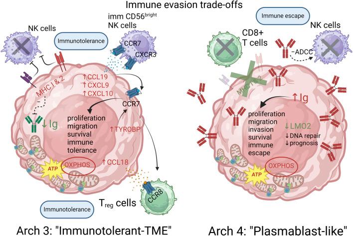 https://cdn.ncbi.nlm.nih.gov/pmc/blobs/262b/12342016/6ae7d72f8fea/fsysb-04-1346076-g006.jpg