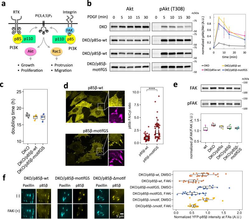 https://cdn.ncbi.nlm.nih.gov/pmc/blobs/262c/10960865/32590c8a6f85/41467_2024_46855_Fig3_HTML.jpg