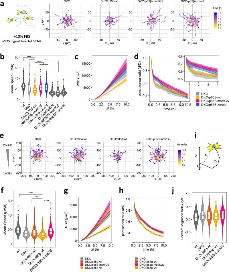 https://cdn.ncbi.nlm.nih.gov/pmc/blobs/262c/10960865/7d13b769fe6d/41467_2024_46855_Fig4_HTML.jpg