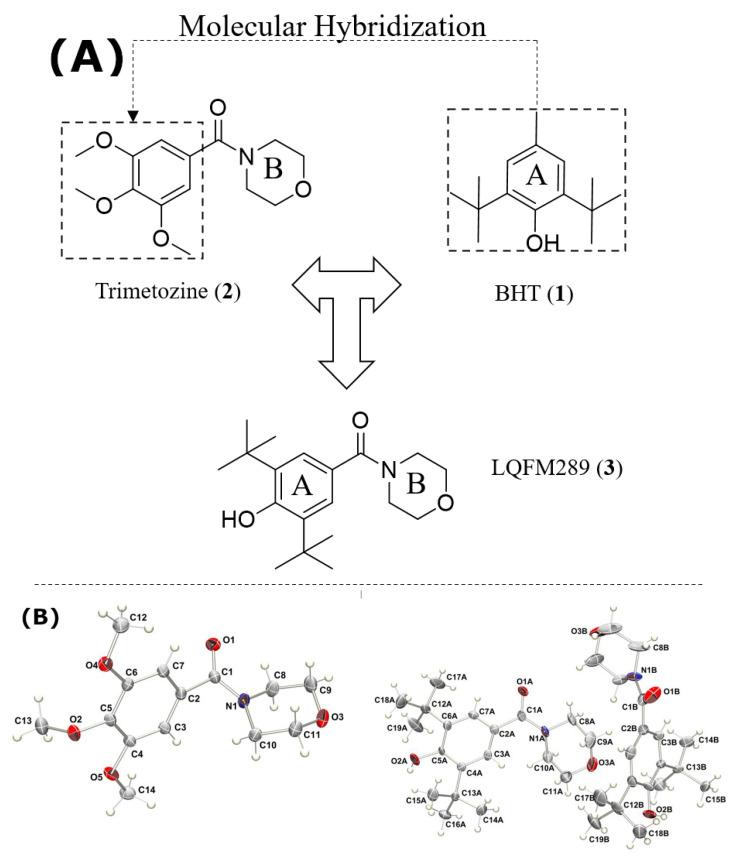 https://cdn.ncbi.nlm.nih.gov/pmc/blobs/262f/10572256/f93e9d79d21e/ijms-24-14575-g001.jpg