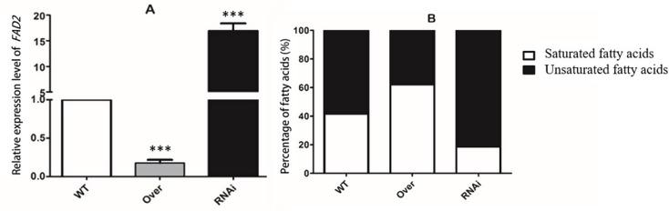 https://cdn.ncbi.nlm.nih.gov/pmc/blobs/262f/11706192/105926279cd6/12934_2024_2639_Fig4_HTML.jpg