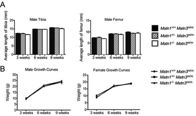 https://cdn.ncbi.nlm.nih.gov/pmc/blobs/262f/3397675/106232f8beb6/art0064-1529-fig001.jpg