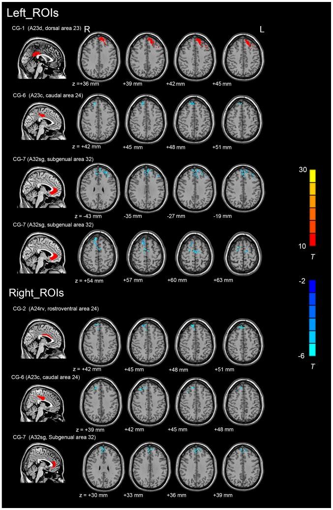 https://cdn.ncbi.nlm.nih.gov/pmc/blobs/262f/7086282/cb6869db2b5b/etm-19-04-2901-g01.jpg