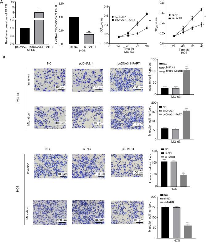 https://cdn.ncbi.nlm.nih.gov/pmc/blobs/262f/8039658/54b03bb63eb9/atm-09-06-488-f2.jpg