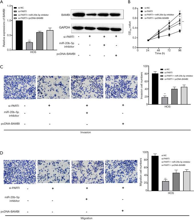 https://cdn.ncbi.nlm.nih.gov/pmc/blobs/262f/8039658/56e269cdd768/atm-09-06-488-f6.jpg