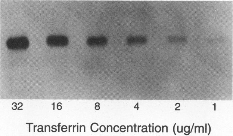 https://cdn.ncbi.nlm.nih.gov/pmc/blobs/2630/368198/4c7b264c409a/cdli00001-0091-b.jpg