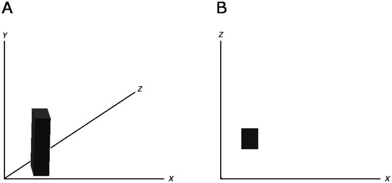https://cdn.ncbi.nlm.nih.gov/pmc/blobs/2631/7701368/6f84ccf1db50/neurosci-07-04-023-g003.jpg