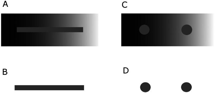 https://cdn.ncbi.nlm.nih.gov/pmc/blobs/2631/7701368/eb48fd83e9d3/neurosci-07-04-023-g001.jpg