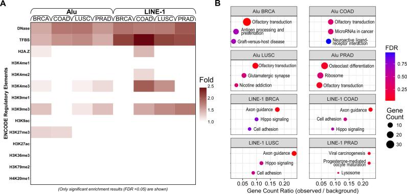 https://cdn.ncbi.nlm.nih.gov/pmc/blobs/2633/5587781/3ddd219e617f/gkx587fig7.jpg