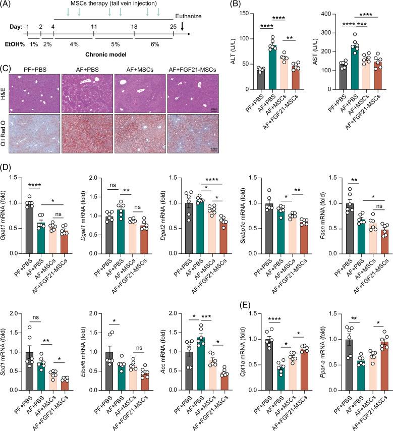 https://cdn.ncbi.nlm.nih.gov/pmc/blobs/2635/10984668/32a1a2a78ed8/hc9-8-e0410-g002.jpg