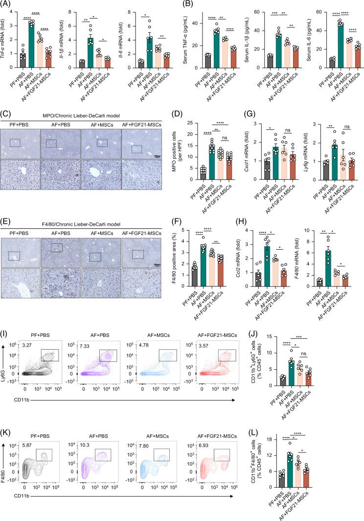 https://cdn.ncbi.nlm.nih.gov/pmc/blobs/2635/10984668/b744a76415f7/hc9-8-e0410-g003.jpg