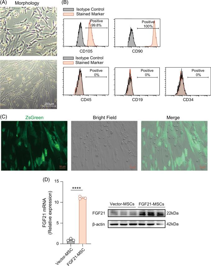 https://cdn.ncbi.nlm.nih.gov/pmc/blobs/2635/10984668/e01eb679bd2e/hc9-8-e0410-g001.jpg