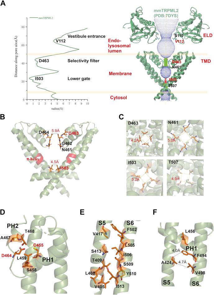 https://cdn.ncbi.nlm.nih.gov/pmc/blobs/2635/8808176/078dc29e3d96/gr4.jpg