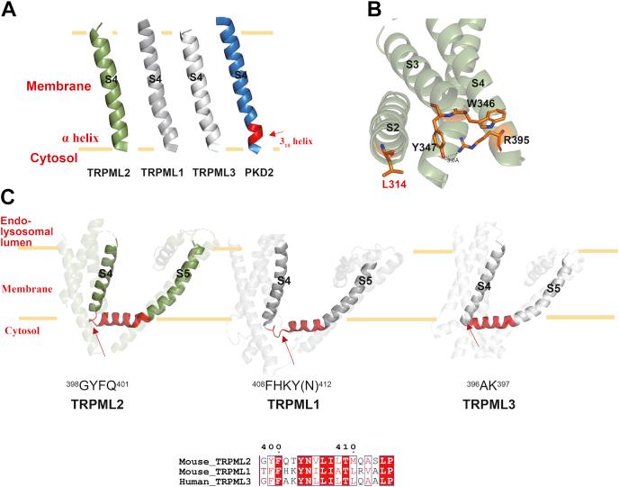 https://cdn.ncbi.nlm.nih.gov/pmc/blobs/2635/8808176/e7ede869b284/gr3.jpg