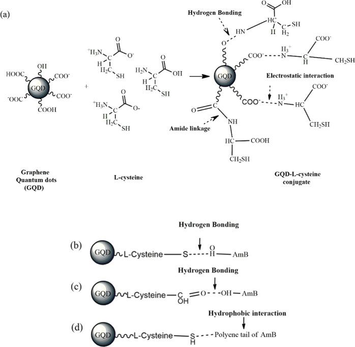 https://cdn.ncbi.nlm.nih.gov/pmc/blobs/2637/12223831/174dee122b39/ao5c00879_0002.jpg