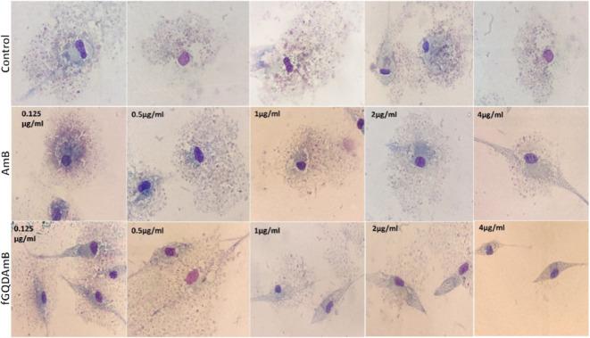 https://cdn.ncbi.nlm.nih.gov/pmc/blobs/2637/12223831/b62faaab5413/ao5c00879_0011.jpg