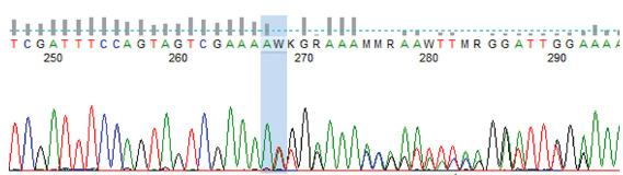 https://cdn.ncbi.nlm.nih.gov/pmc/blobs/2638/11618995/a338d05da789/IJN-34-6-675-g1.jpg
