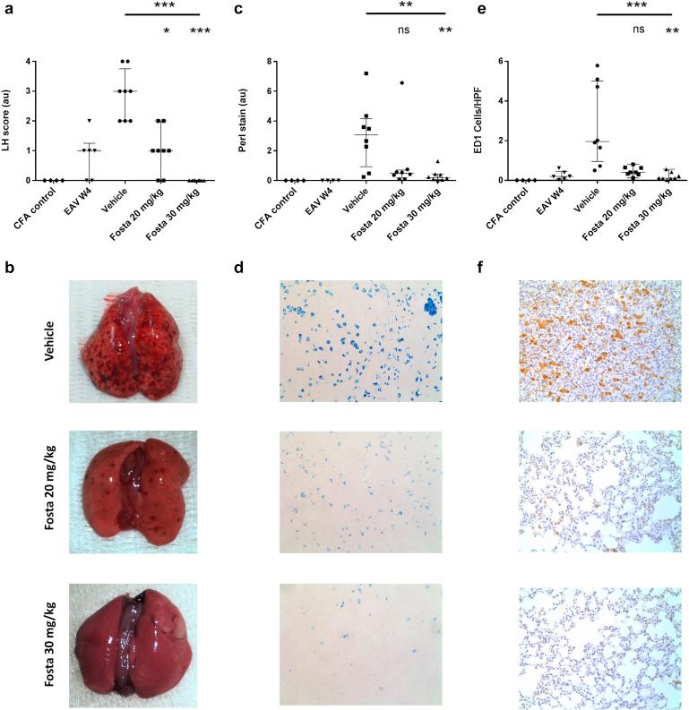 https://cdn.ncbi.nlm.nih.gov/pmc/blobs/2638/7242903/a0a10f11436d/gr2.jpg