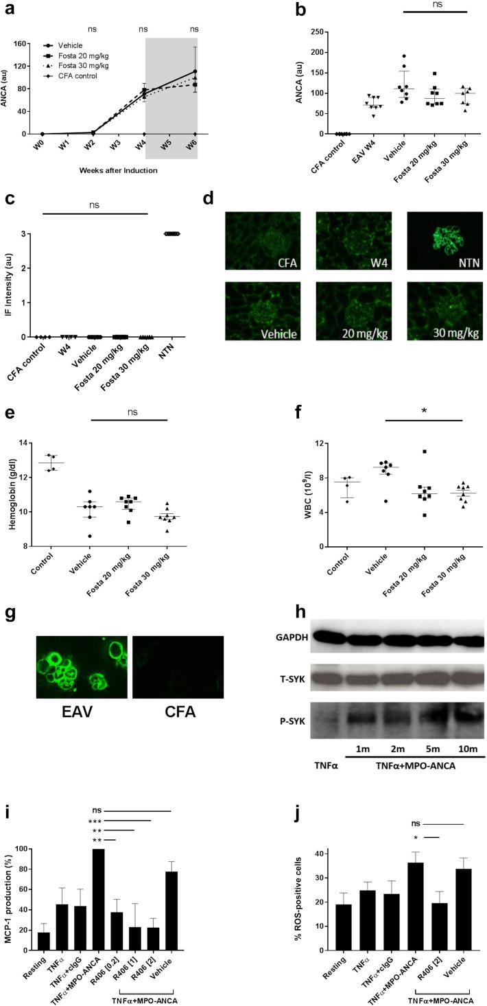 https://cdn.ncbi.nlm.nih.gov/pmc/blobs/2638/7242903/de193526b3c4/gr5.jpg