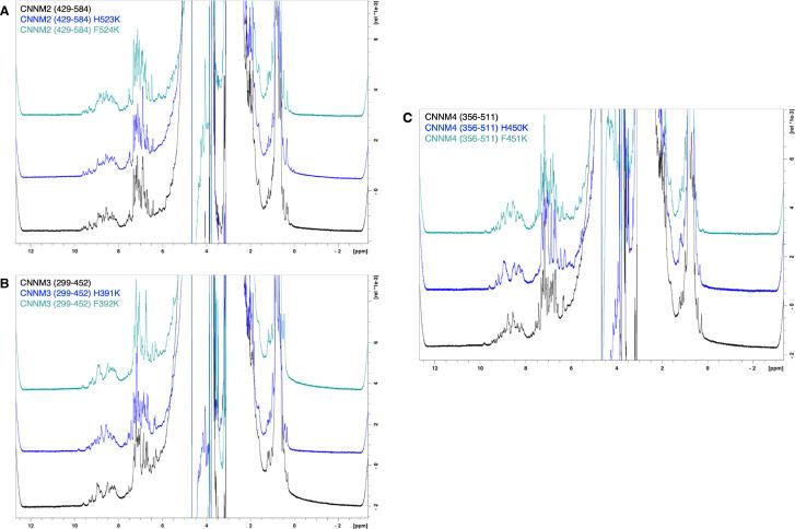 https://cdn.ncbi.nlm.nih.gov/pmc/blobs/263a/10348743/435addbf630a/elife-86129-fig5-figsupp1.jpg