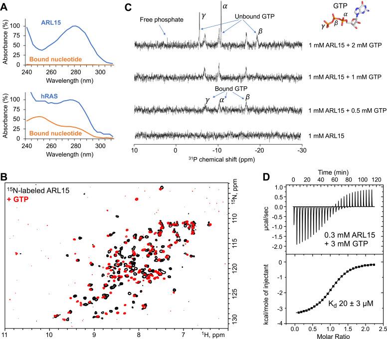 https://cdn.ncbi.nlm.nih.gov/pmc/blobs/263a/10348743/6232fe091c24/elife-86129-fig1.jpg