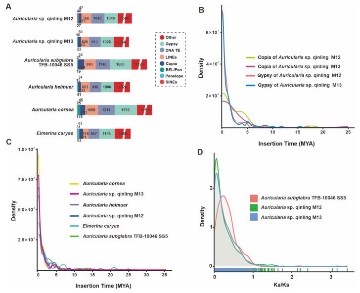 https://cdn.ncbi.nlm.nih.gov/pmc/blobs/263a/12113221/859132eb10f2/jof-11-00395-g005.jpg