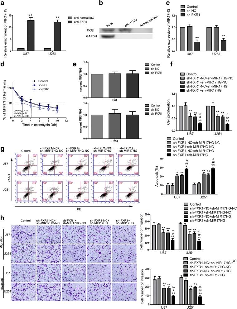 https://cdn.ncbi.nlm.nih.gov/pmc/blobs/263a/6348679/c90bfd18c586/13046_2018_991_Fig2_HTML.jpg