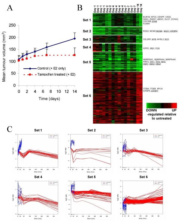 https://cdn.ncbi.nlm.nih.gov/pmc/blobs/263b/2917034/84d547b1347e/bcr2593-1.jpg