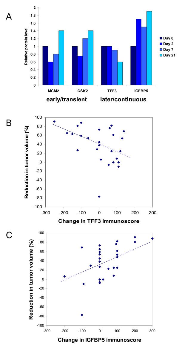 https://cdn.ncbi.nlm.nih.gov/pmc/blobs/263b/2917034/ceac2faa5be1/bcr2593-3.jpg