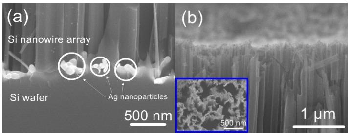https://cdn.ncbi.nlm.nih.gov/pmc/blobs/263f/6915563/fa816569e26a/nanomaterials-09-01531-g002a.jpg