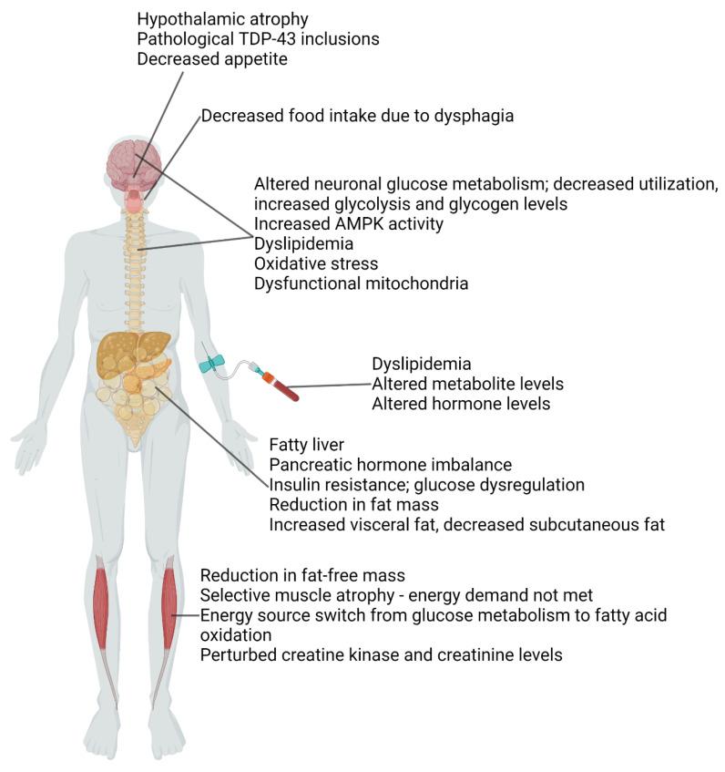 https://cdn.ncbi.nlm.nih.gov/pmc/blobs/2641/10216611/f24916669d8f/biomolecules-13-00863-g001.jpg
