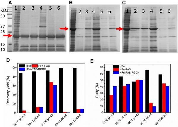 https://cdn.ncbi.nlm.nih.gov/pmc/blobs/2641/8518560/0e0e98458903/ELSC-21-630-g003.jpg