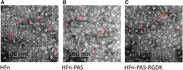 https://cdn.ncbi.nlm.nih.gov/pmc/blobs/2641/8518560/60185db8f125/ELSC-21-630-g002.jpg