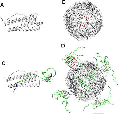 https://cdn.ncbi.nlm.nih.gov/pmc/blobs/2641/8518560/76a8ef044fd1/ELSC-21-630-g006.jpg
