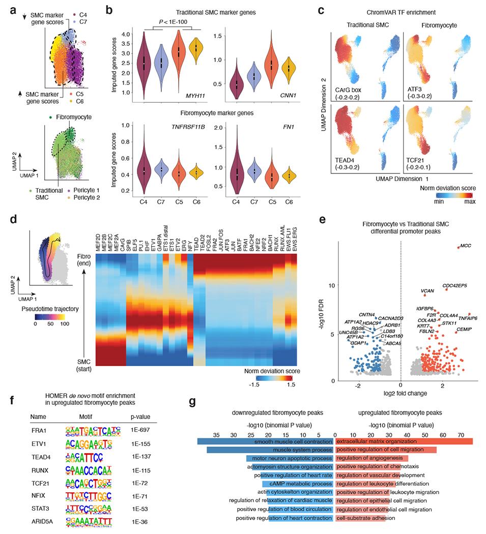 https://cdn.ncbi.nlm.nih.gov/pmc/blobs/2643/9203933/99f6c0e06561/nihms-1794783-f0003.jpg