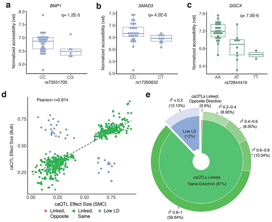 https://cdn.ncbi.nlm.nih.gov/pmc/blobs/2643/9203933/a862832cb0a8/nihms-1794783-f0012.jpg