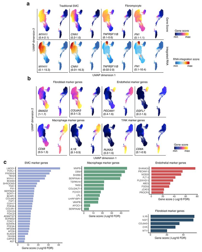 https://cdn.ncbi.nlm.nih.gov/pmc/blobs/2643/9203933/cf0ebaf68805/nihms-1794783-f0008.jpg