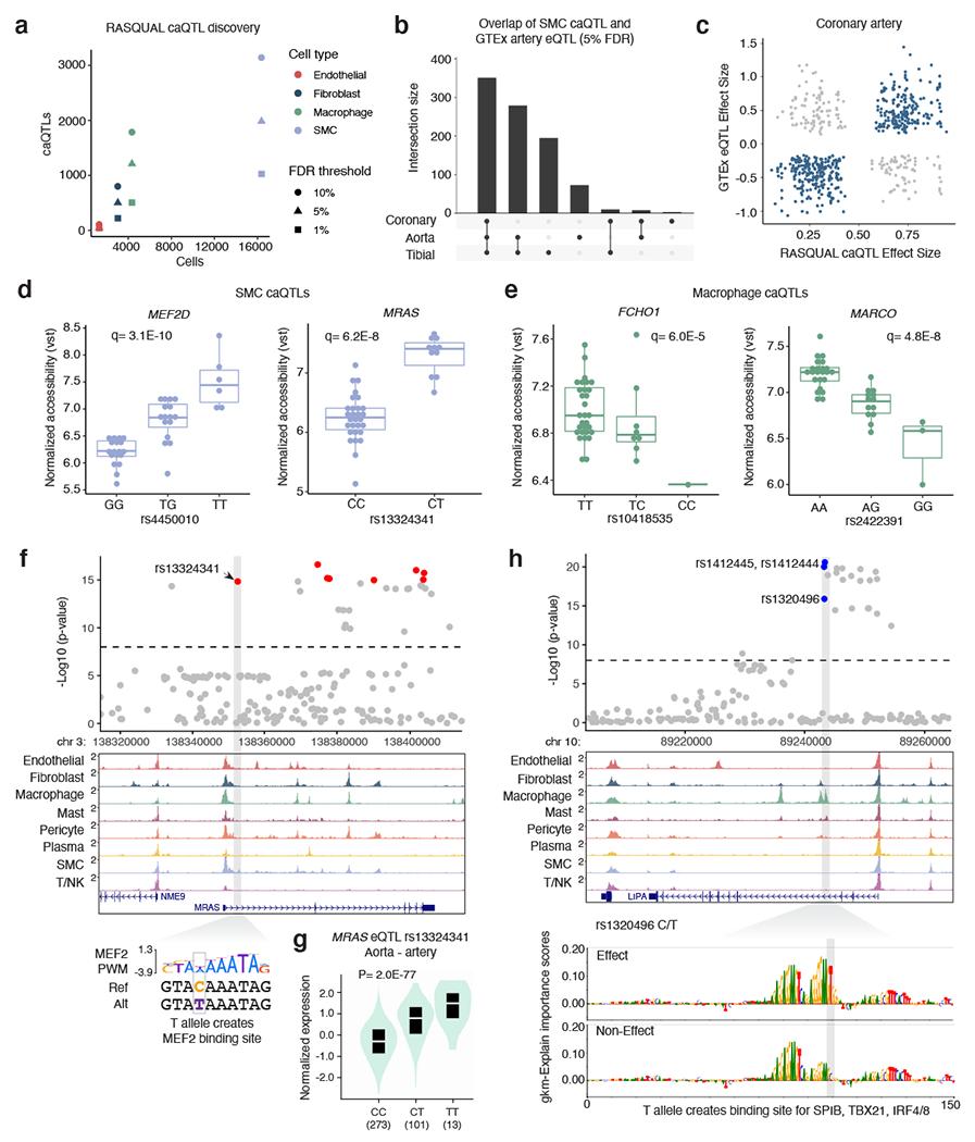 https://cdn.ncbi.nlm.nih.gov/pmc/blobs/2643/9203933/f99df962f666/nihms-1794783-f0005.jpg