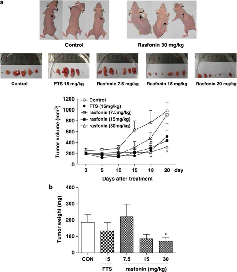 https://cdn.ncbi.nlm.nih.gov/pmc/blobs/2644/4047882/090a5ab19734/cddis2014213f5.jpg