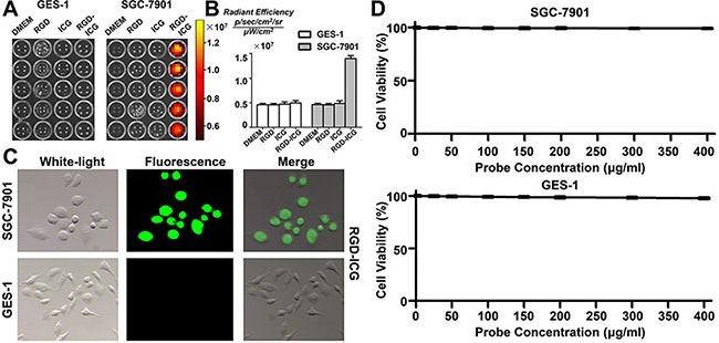 https://cdn.ncbi.nlm.nih.gov/pmc/blobs/2644/5351629/3935f8df561f/oncotarget-08-6258-g002.jpg