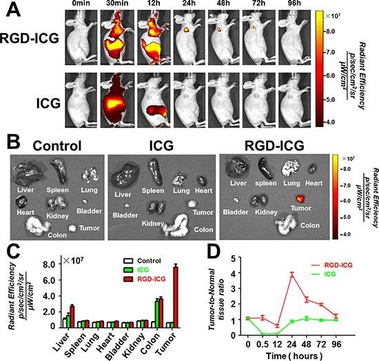 https://cdn.ncbi.nlm.nih.gov/pmc/blobs/2644/5351629/3c1bf009756d/oncotarget-08-6258-g003.jpg