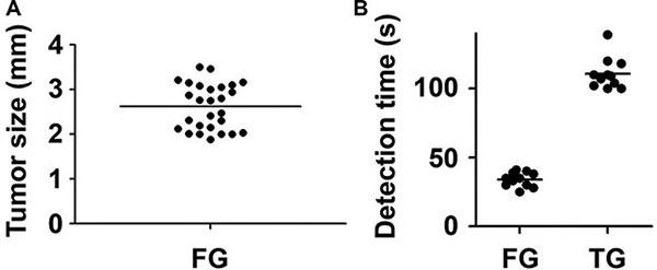 https://cdn.ncbi.nlm.nih.gov/pmc/blobs/2644/5351629/8094578d8202/oncotarget-08-6258-g007.jpg