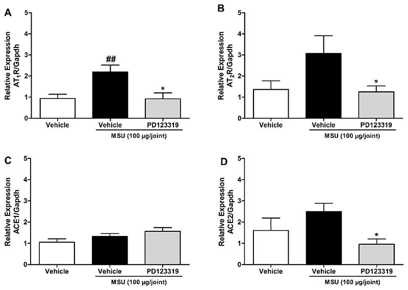 https://cdn.ncbi.nlm.nih.gov/pmc/blobs/2646/7614762/c3c1c2324f89/EMS179176-f006.jpg