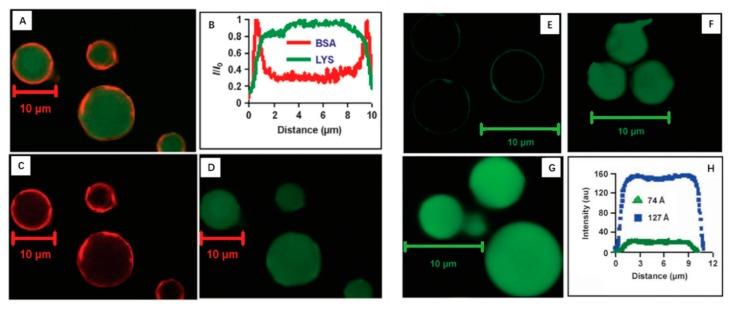 https://cdn.ncbi.nlm.nih.gov/pmc/blobs/2648/6523670/5481ff49782e/nanomaterials-09-00511-g001.jpg