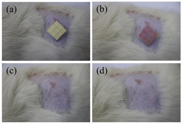 https://cdn.ncbi.nlm.nih.gov/pmc/blobs/264a/9185271/5380544943ba/sensors-22-04253-g008.jpg